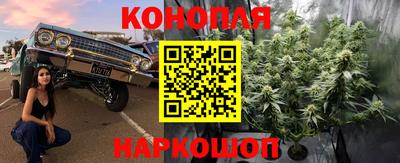прущие крисы Рязань