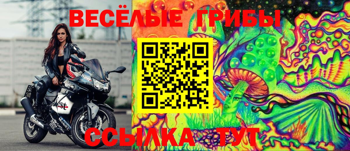 Галлюциногенные грибы Psilocybine cubensis Ангарск
